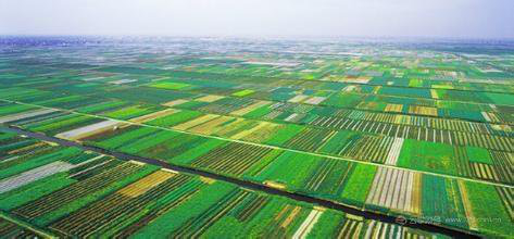 rtk測量儀器在國土資源動態(tài)巡查監(jiān)管信息系統(tǒng)中的實際應用-西安華測測量儀器